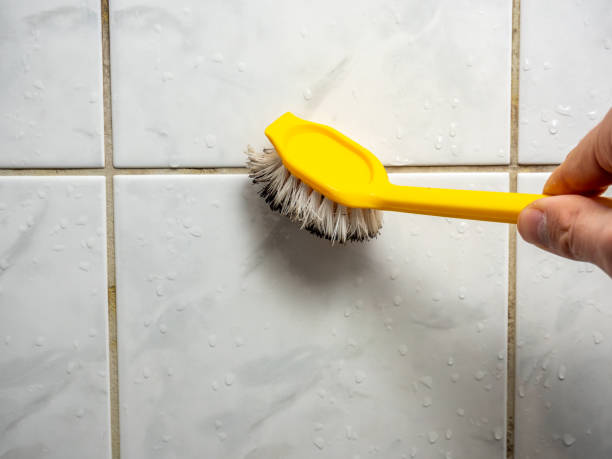 Best Post-Remediation Services in Yelm, WA