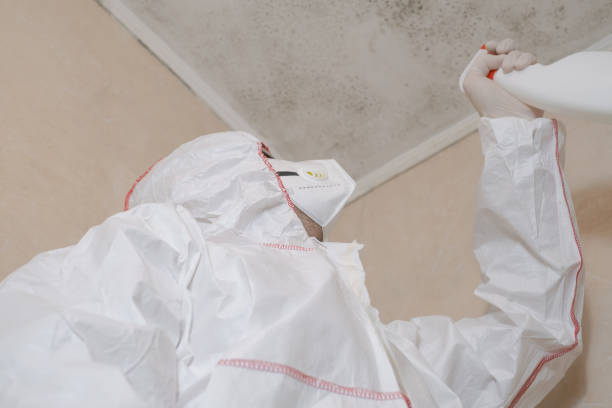 Best HVAC Mold Remediation in Yelm, WA
